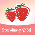 Strawberry公园