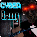 奶奶cyber版