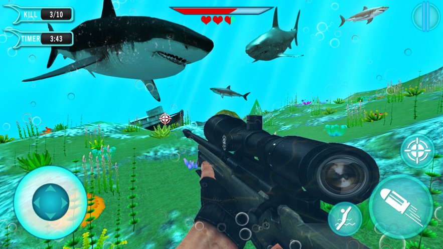 鲨鱼猎手3D(1)