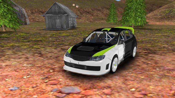 拉力赛车模拟器3D(2)