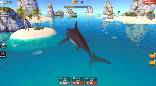 鲨鱼世界大亨2(3)