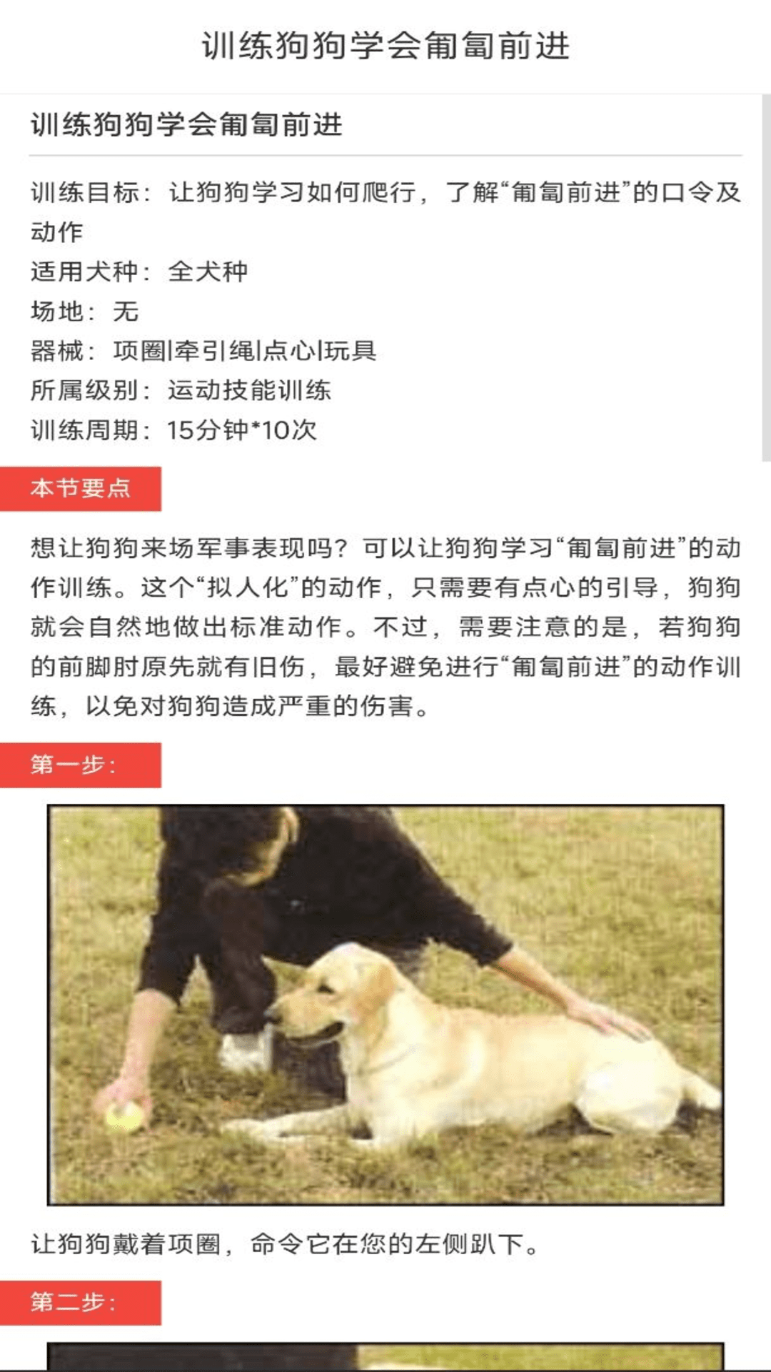 动物对话翻译器中文版(2)