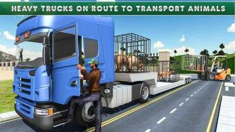 动物运输车驾驶(3)