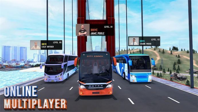 巴士模拟器终极印度版(3)